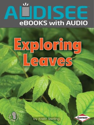 cover image of Exploring Leaves